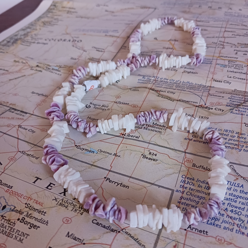 Shell bead necklace